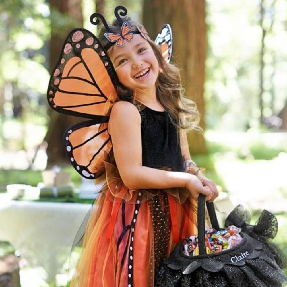 Pottery Barn Kids Monarch Butterfly Costume 4-6Y